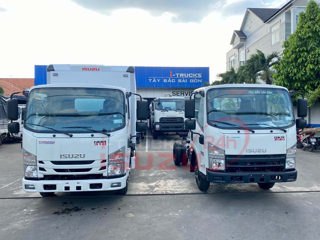 Isuzu NMR310 (bên trái) và QKR 230 đầu vuông (bên phải)